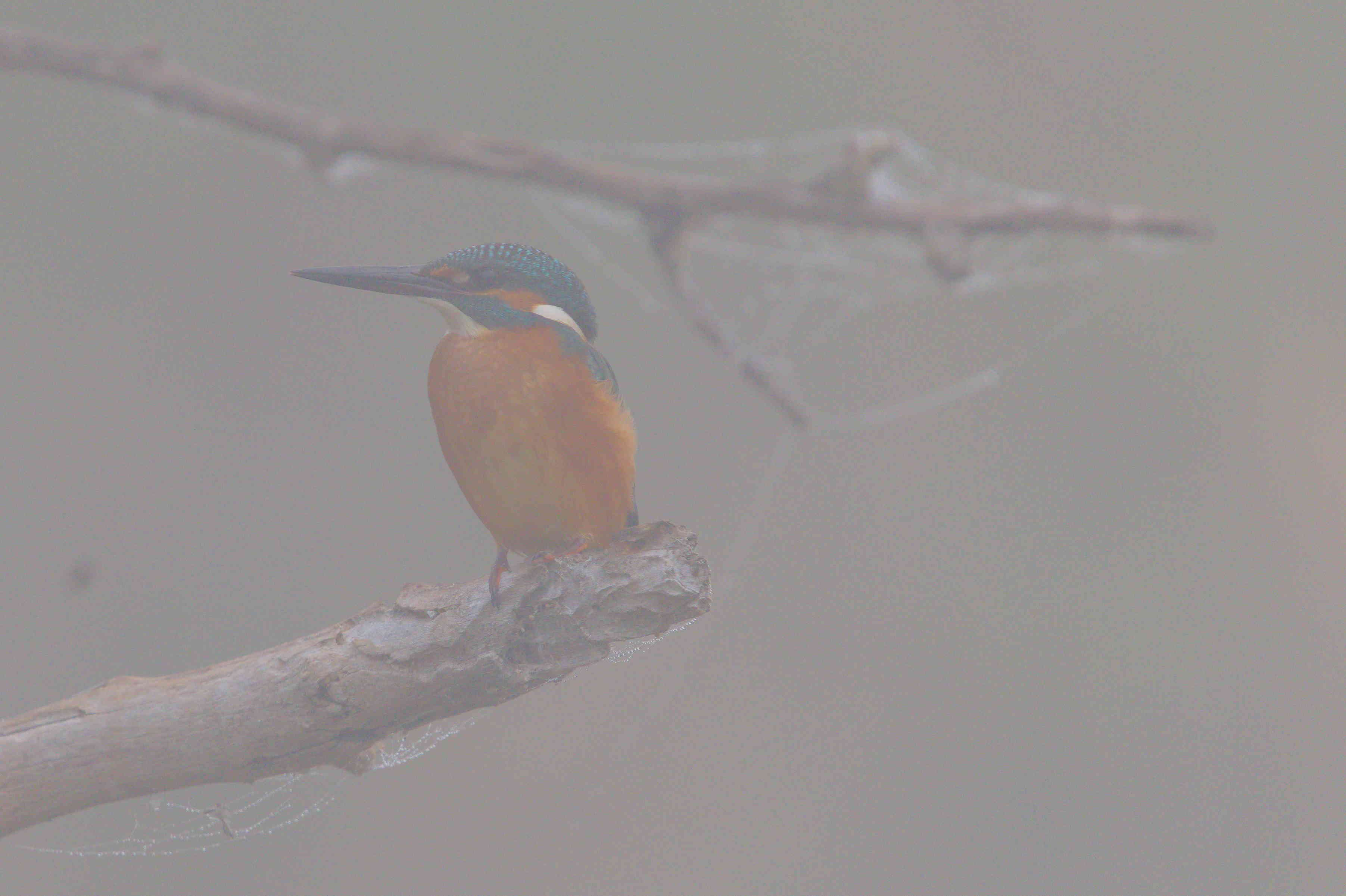 Come and check me out