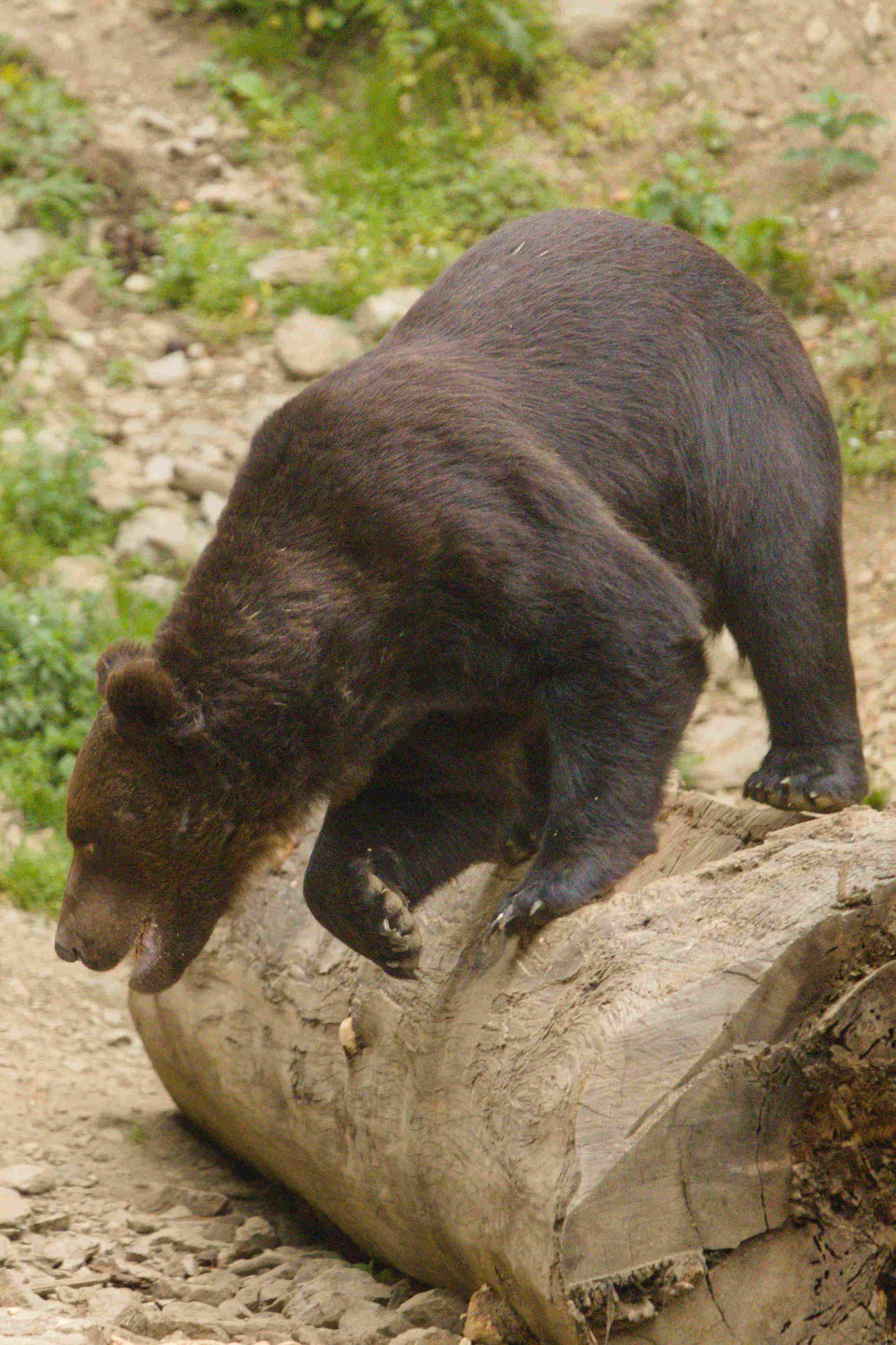 I need to check that